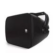 BREEZ AW800 BLACK BOXE MOREL DE PERETE EXTERIOR DE 8", 581138-110 