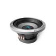 S2-W8D4 SUBWOOFER ALPINE DE 20CM (8″), 4Ω+4Ω, 900W